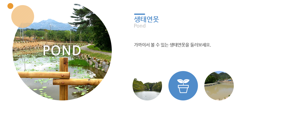 pond